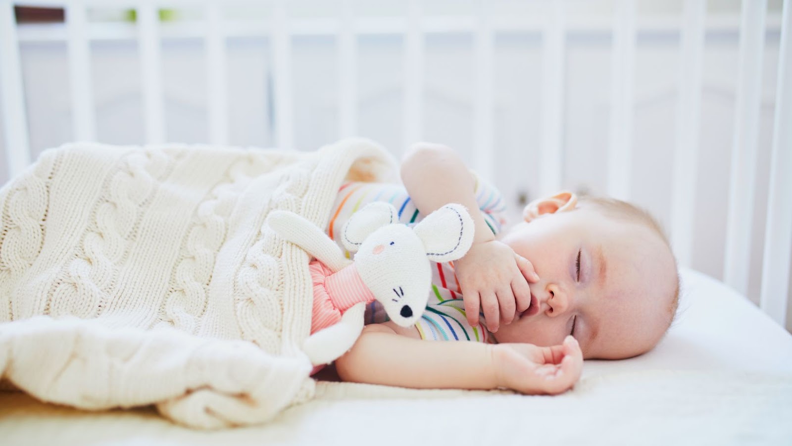 Co Sleeping vs Bassinet: Which Is The Safest Option For Your Baby?